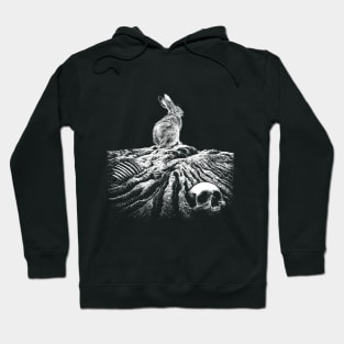 Down the rabbit hole Hoodie